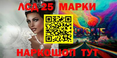 твердый Бердск