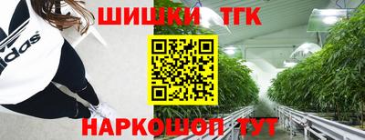 твердый Бердск
