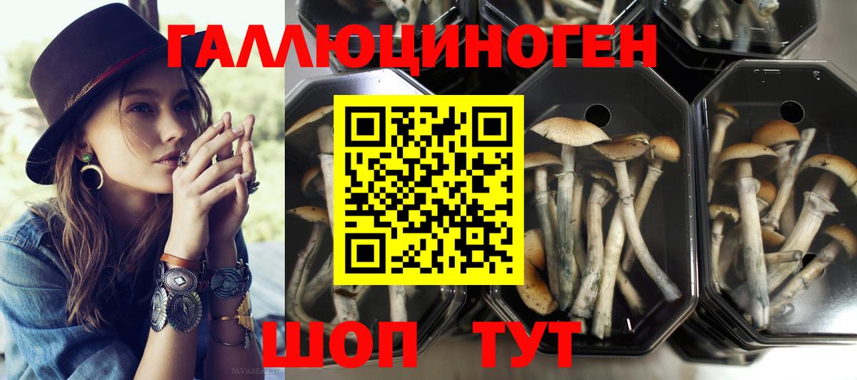 Обнинск  Галлюциногенные грибы ЛСД  Вход с VPN 