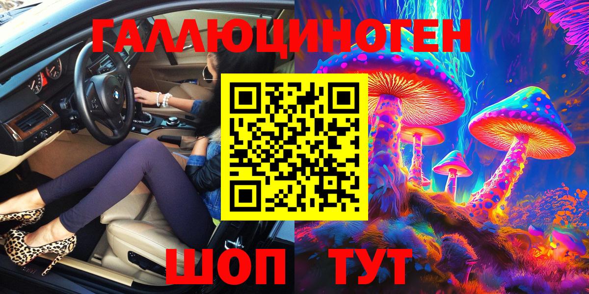 Галлюциногенные грибы Psilocybe Обнинск